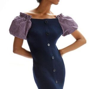 Anthropologie Navy and Purple Mini Dress